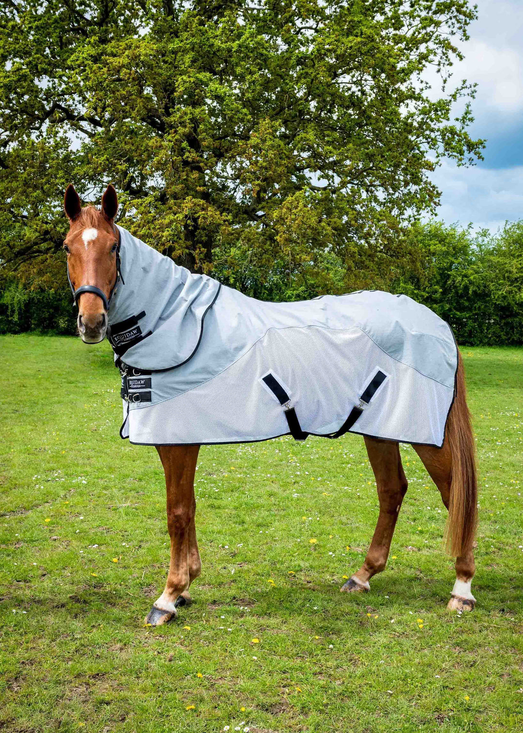 Luxury Neck Cooling Cover