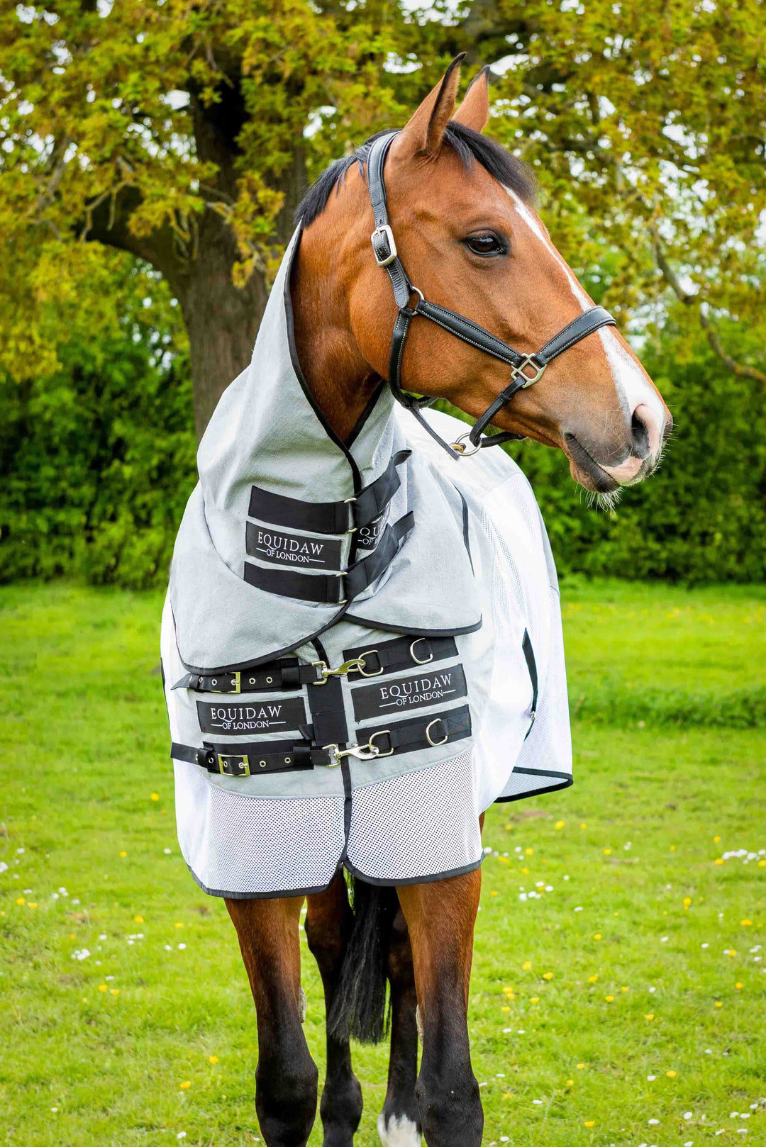 Luxury Neck Cooling Cover