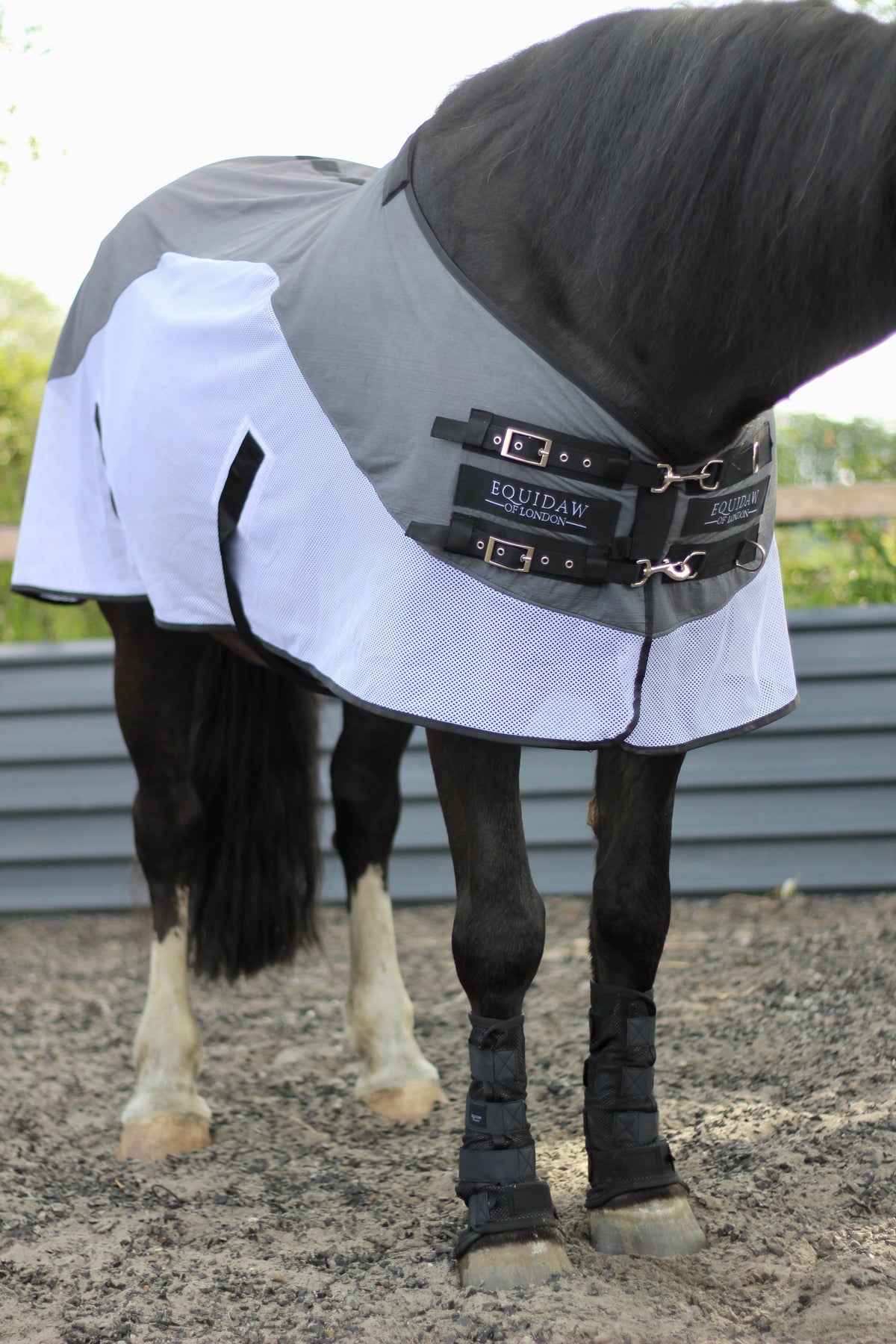 Luxury Horse Cooling Rug – Equidaw of London