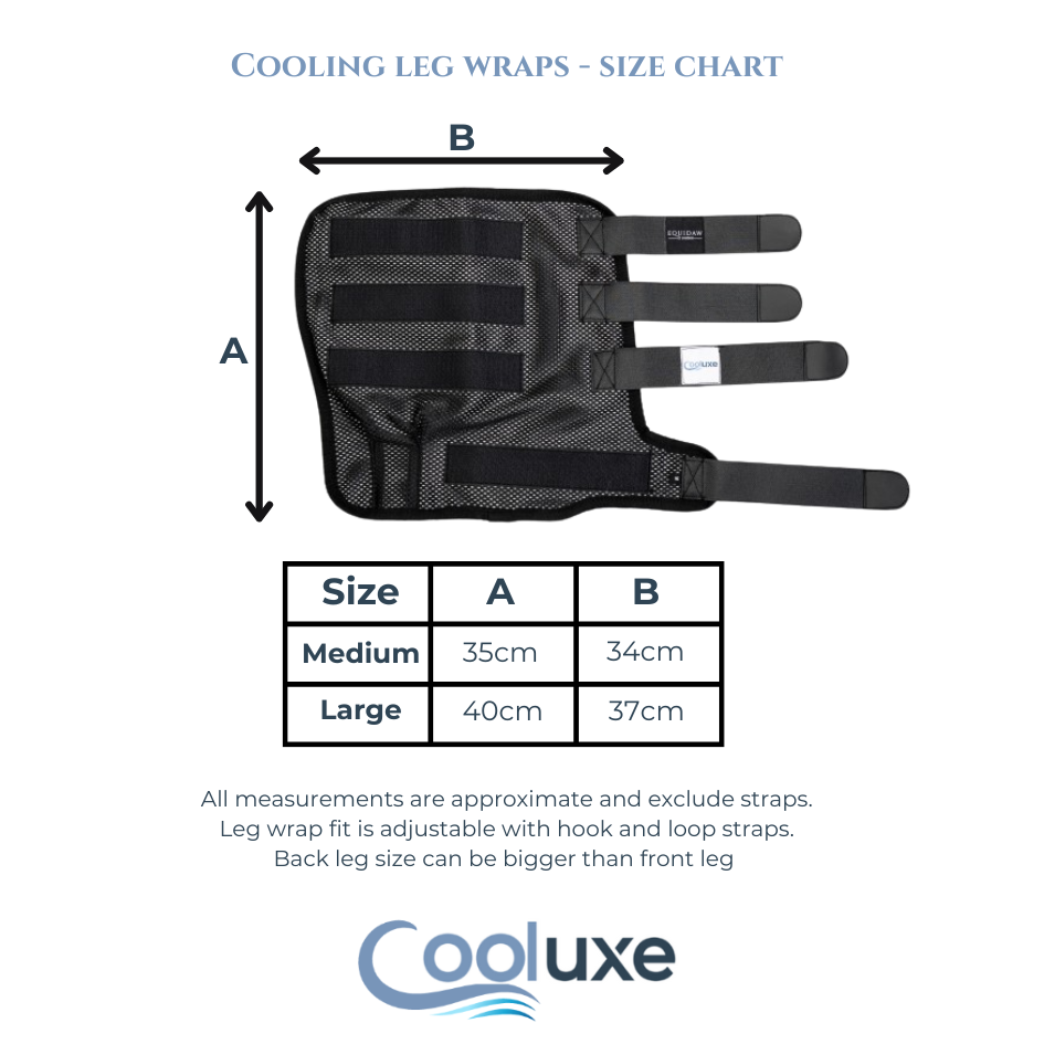 Luxury Horse Cooling Rug – Equidaw of London