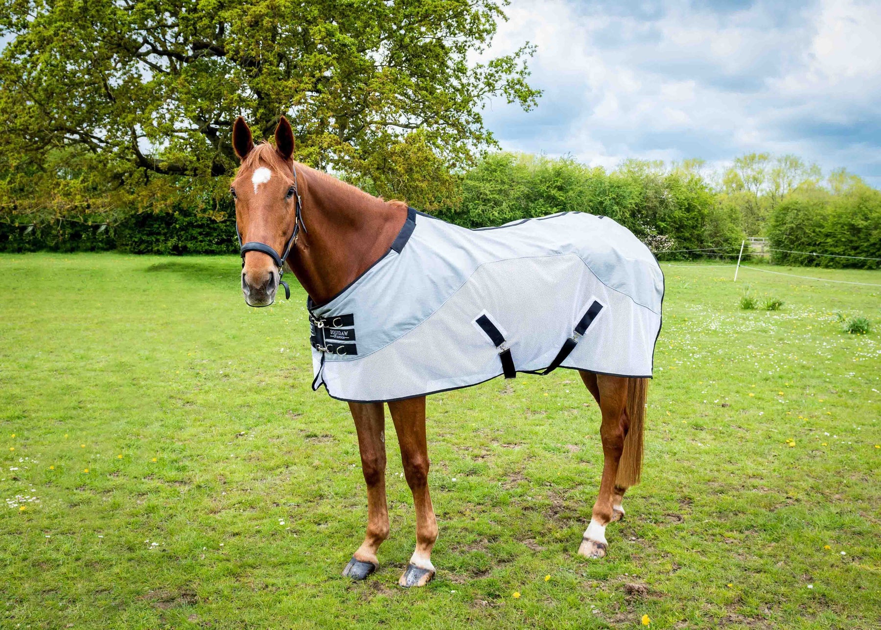 Luxury Horse Cooling Rug Equidaw of London