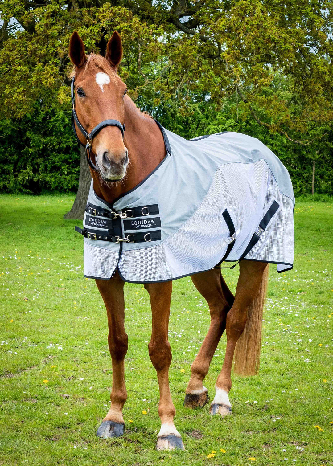 Luxury Horse Cooling Rug – Equidaw of London